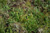 DSC_0311.JPG (1620491 bytes)