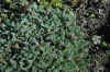 DSC_0578.JPG (1555981 bytes)