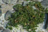 DSC_0583.JPG (1564248 bytes)